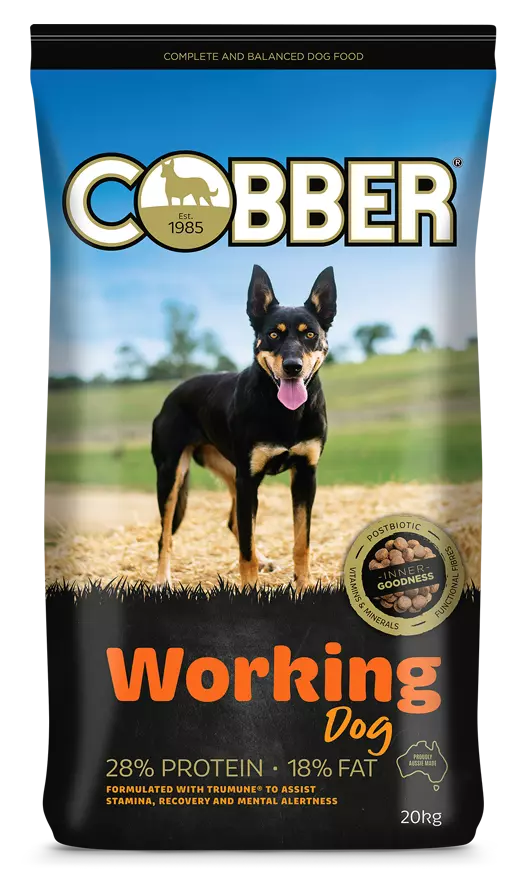 Cobber Working Dog 20kg
