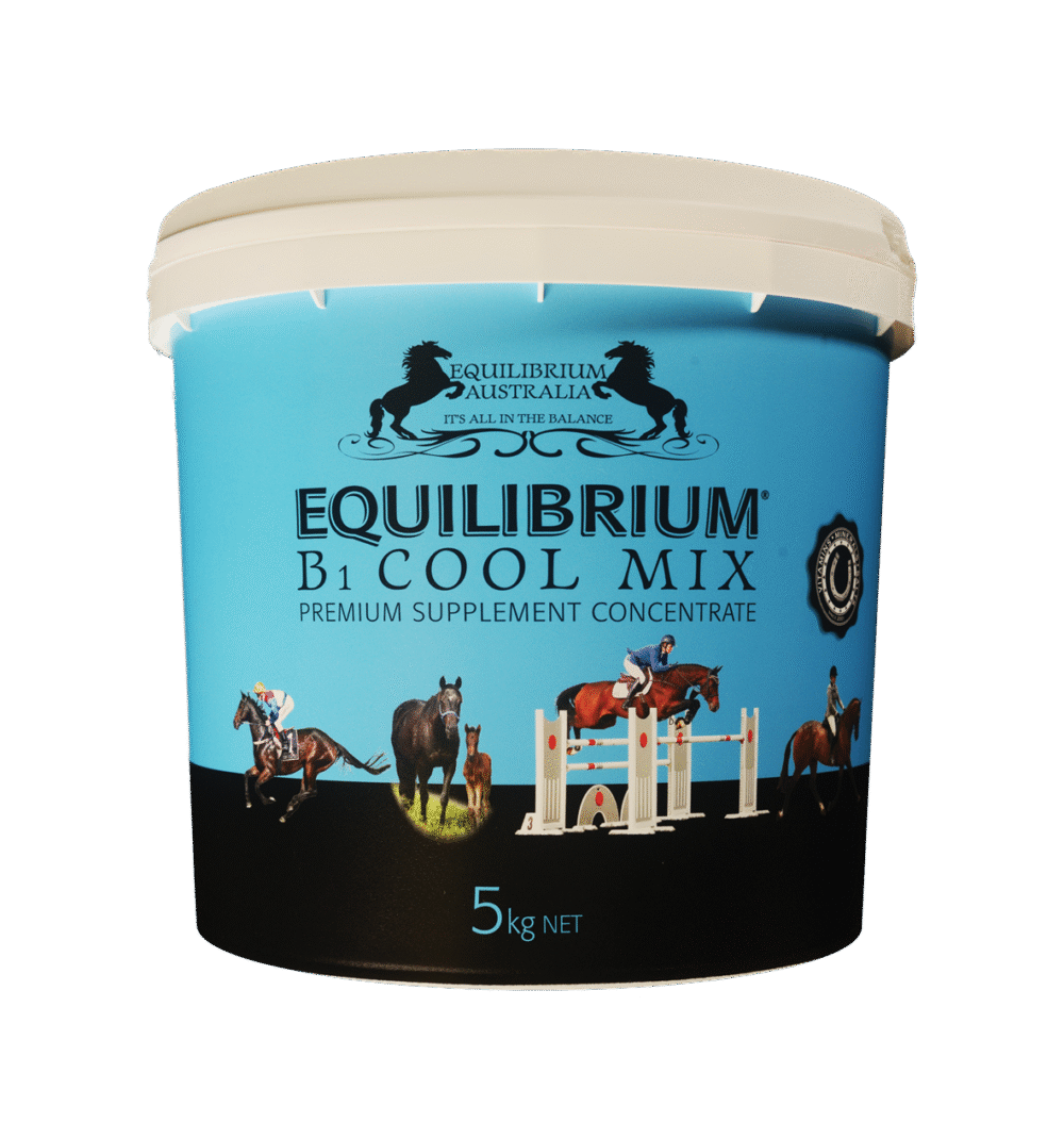 Equilib B1 Cool Mix 5kg Blue