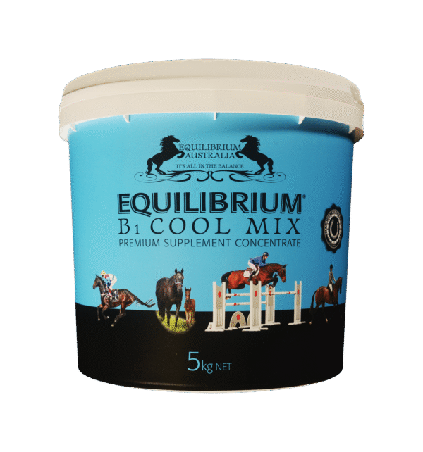 Equilib B1 Cool Mix 5kg Blue